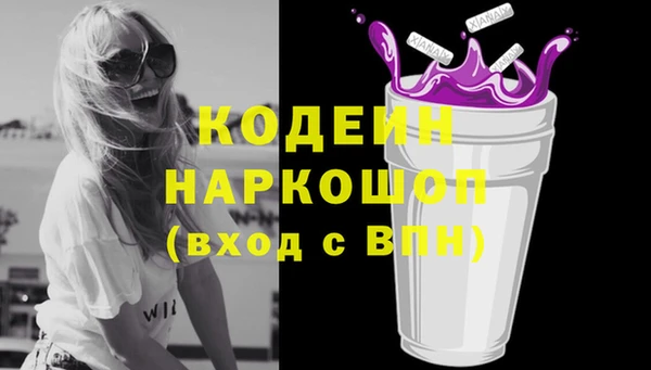 дживик Абаза