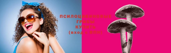 дживик Абаза